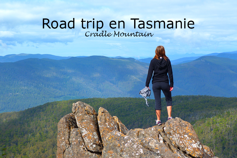 Road trip en Tasmanie : au cœur des montagnes