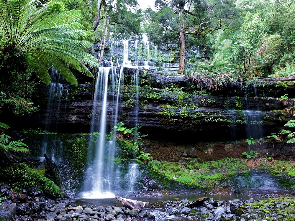 road trip tasmanie mount field waterfall